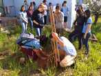 Escolas e Colgios Estaduais do NRE de Wenceslau Braz aderem ao P...